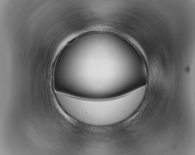 X0000089721437200706210843