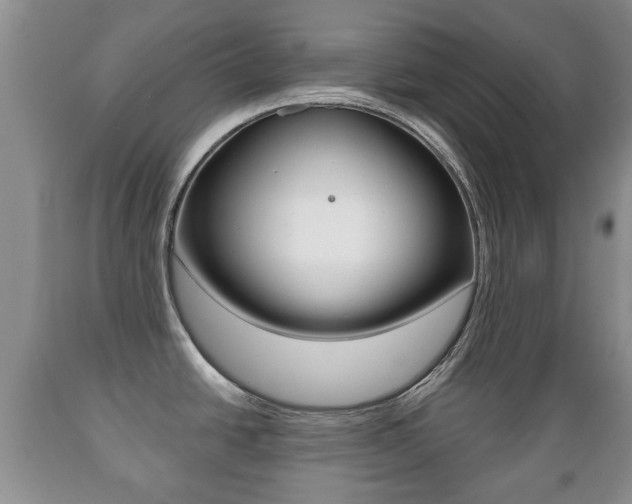 X0000089721438200706210843