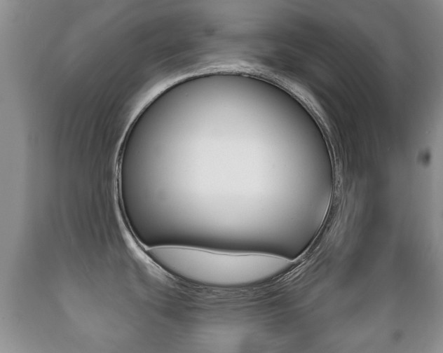 X0000089721439200706210843