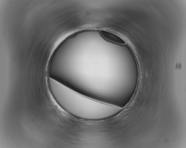 X0000089721440200706210843