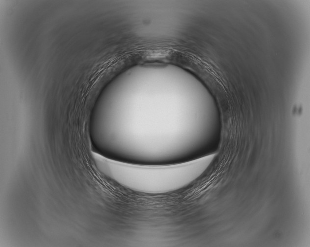 X0000089721441200706210843