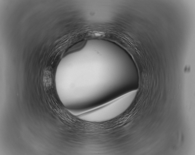 X0000089721442200706210843
