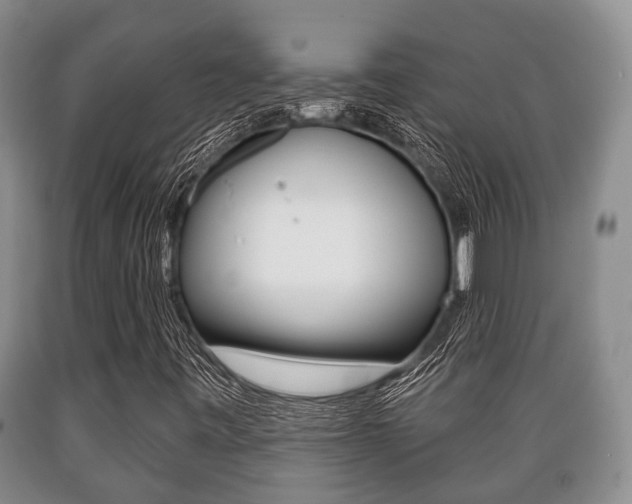 X0000089721443200706210843