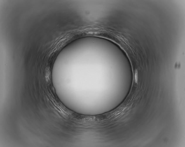 X0000089721444200706210843