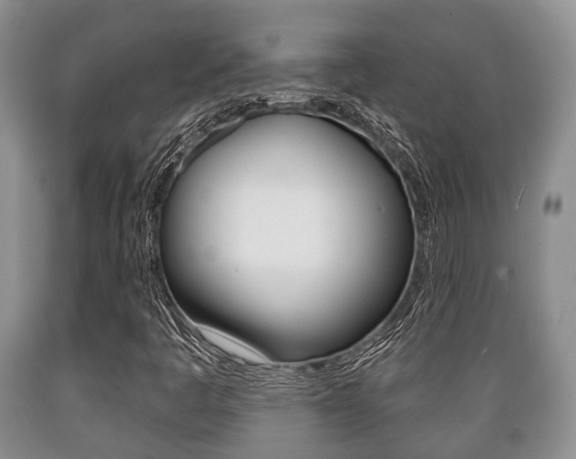 X0000089721445200706210843