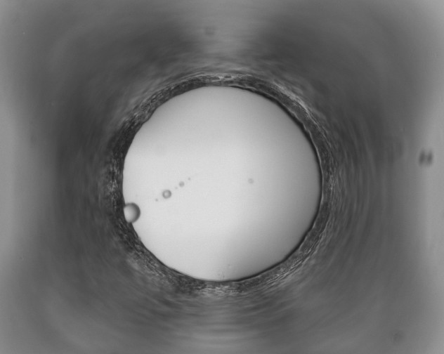 X0000089721447200706210843