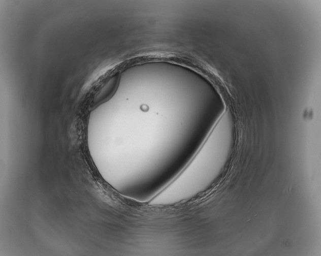 X0000089721448200706210843