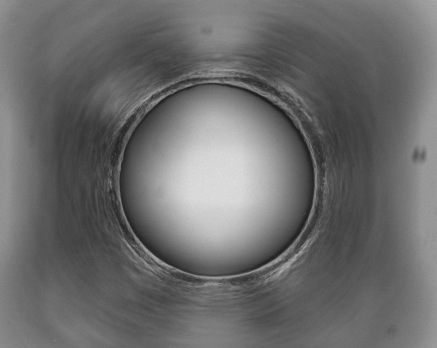 X0000089721449200706210843