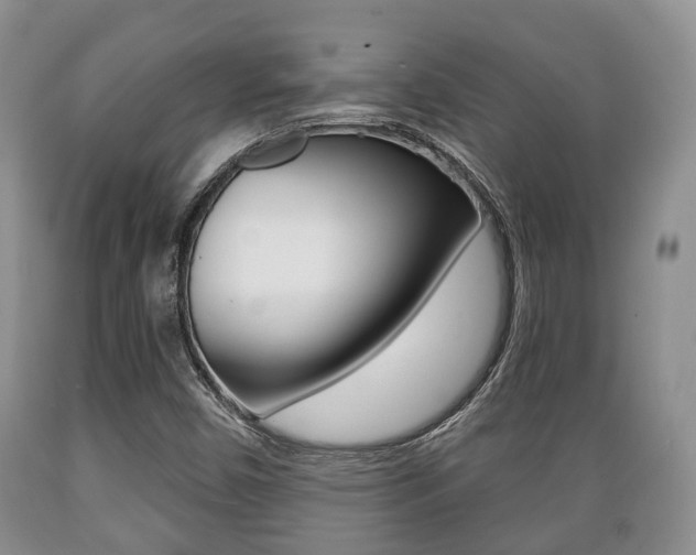 X0000089721450200706210843