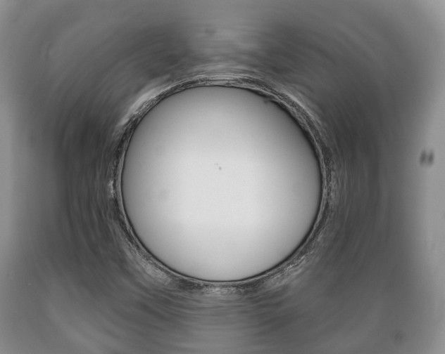 X0000089721451200706210842