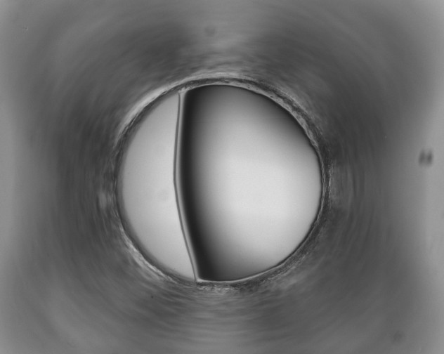 X0000089721452200706210842