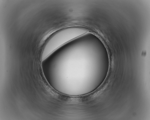 X0000089721453200706210842