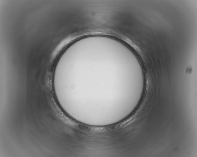 X0000089721454200706210842