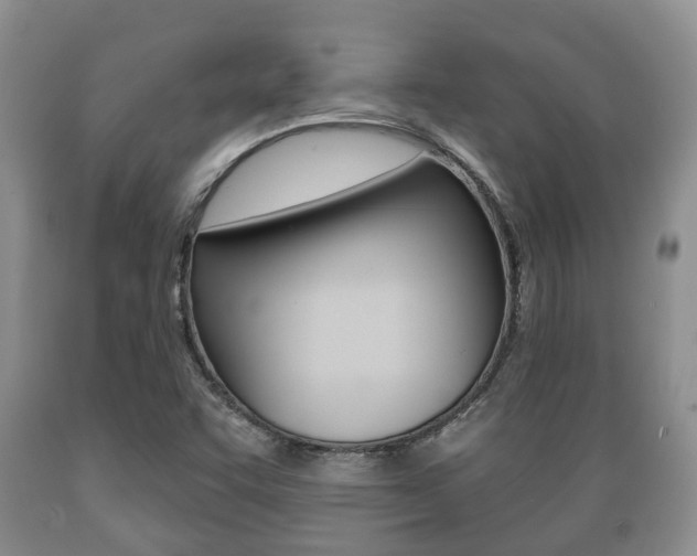 X0000089721455200706210842