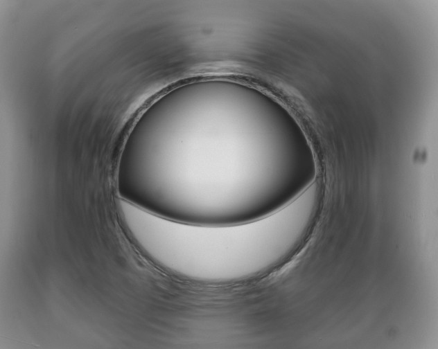 X0000089721457200706210842