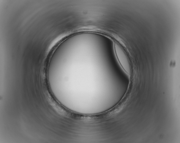 X0000089721458200706210842