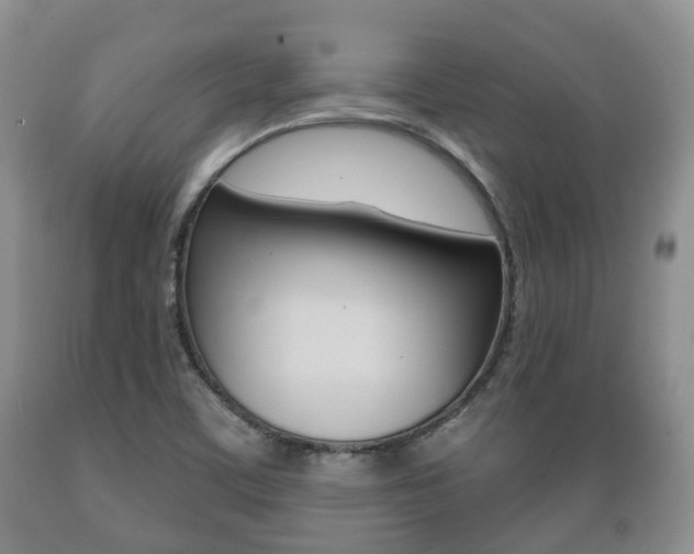 X0000089721459200706210842