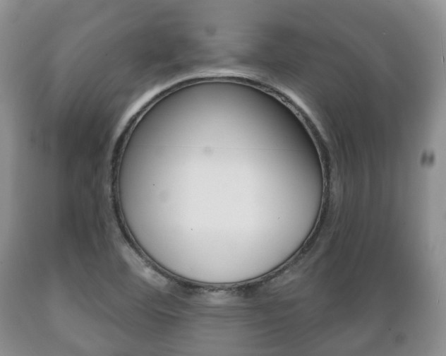 X0000089721460200706210842