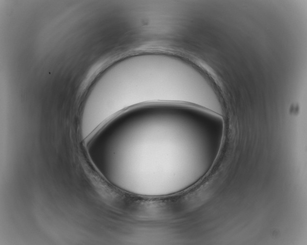 X0000089721461200706210842