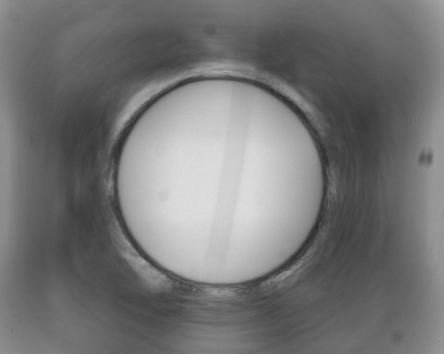 X0000089721462200706210842