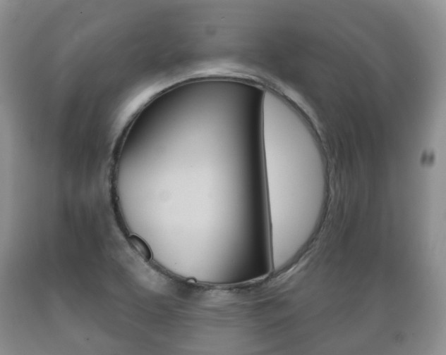 X0000089721463200706210842