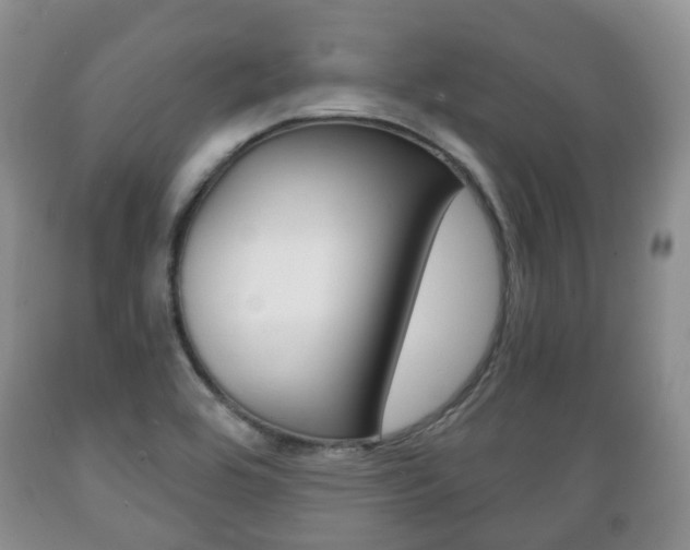 X0000089721464200706210842