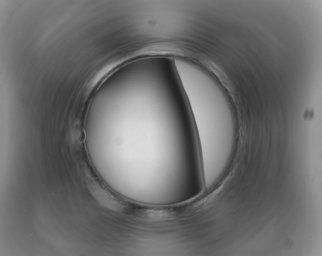 X0000089721465200706210842