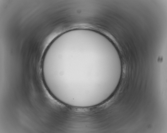 X0000089721466200706210842