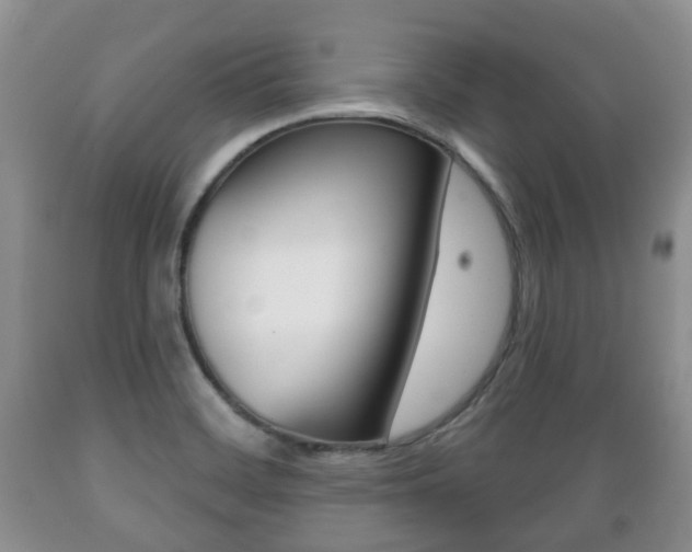 X0000089721468200706210842