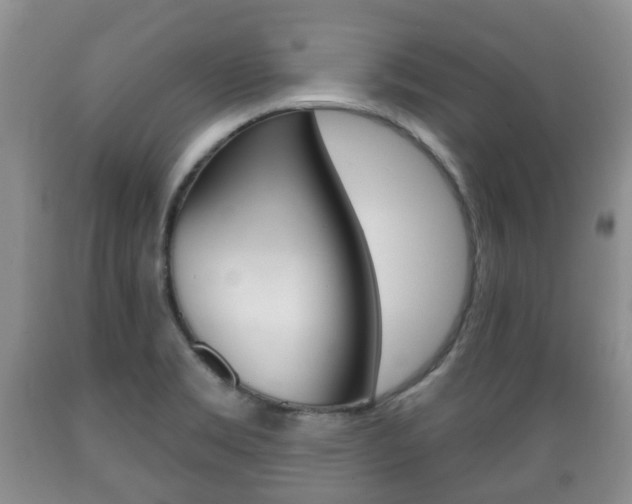 X0000089721469200706210842