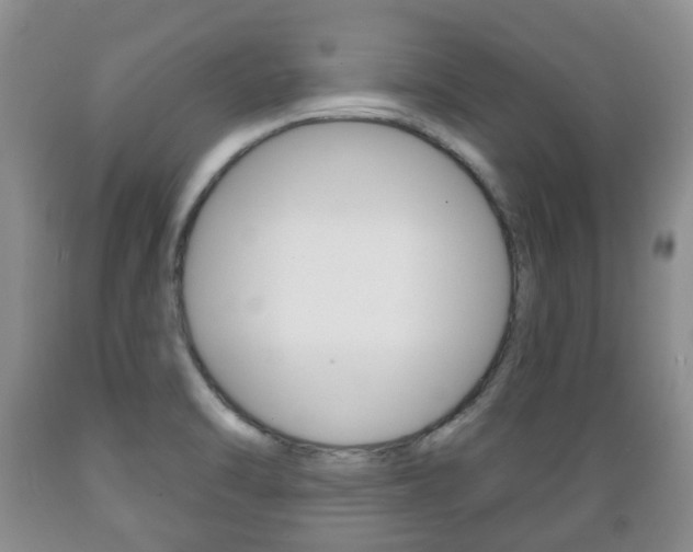 X0000089721470200706210842