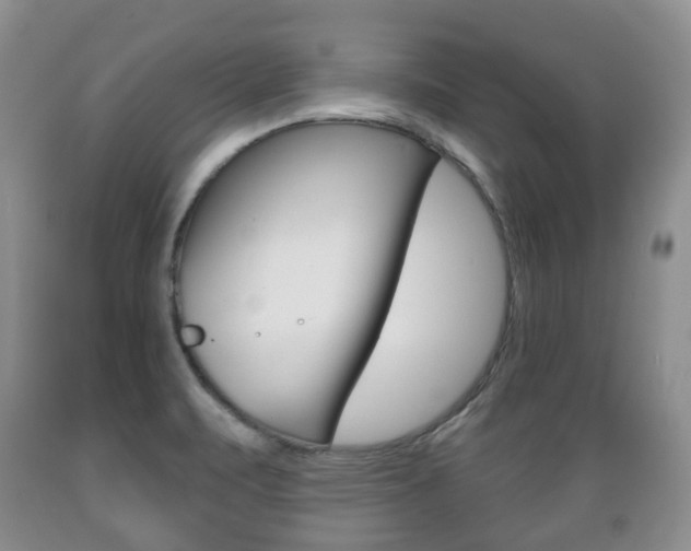 X0000089721471200706210842