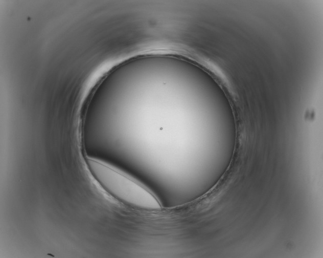X0000089721472200706210842