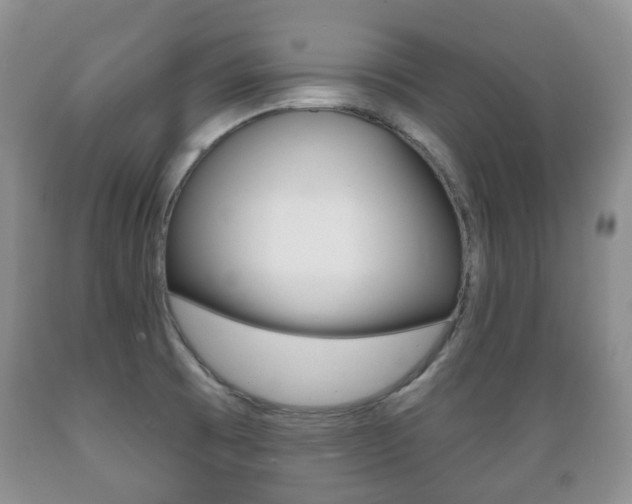 X0000089721473200706210842