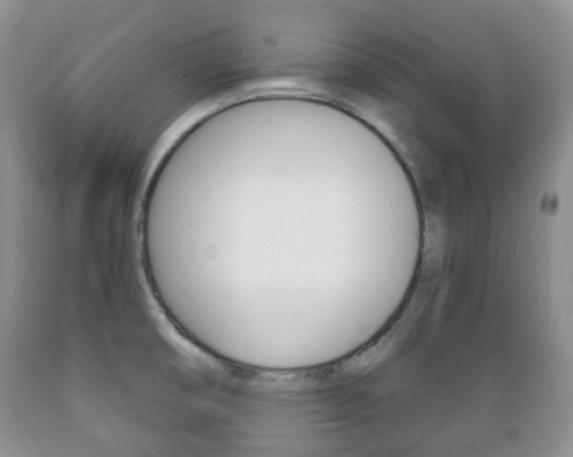 X0000089721474200706210842