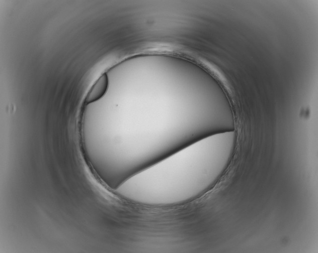 X0000089721475200706210842
