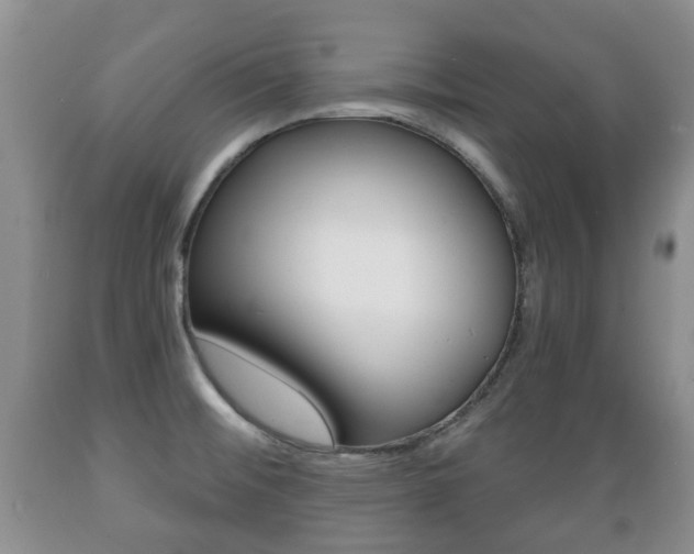 X0000089721476200706210842