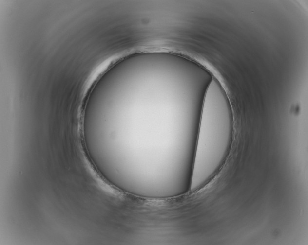 X0000089721477200706210842