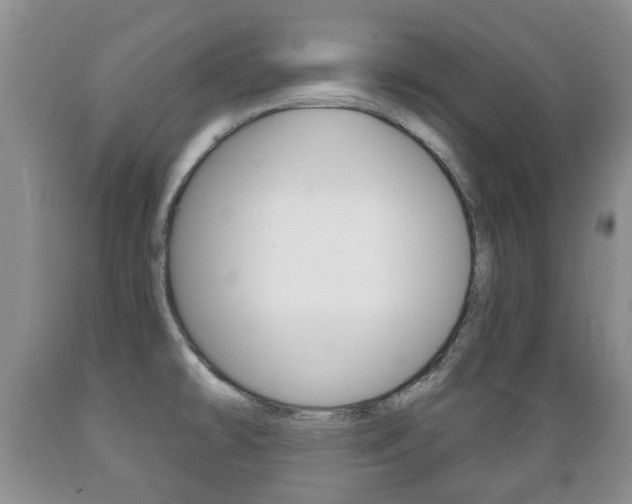 X0000089721478200706210842