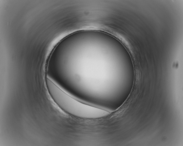 X0000089721480200706210842