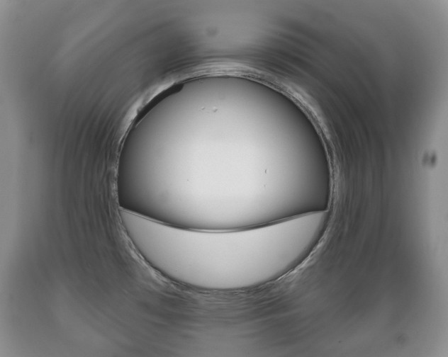 X0000089721481200706210842