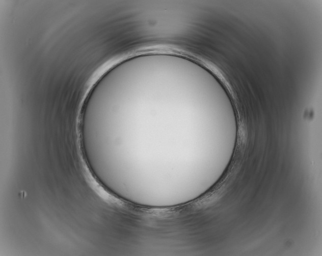 X0000089721482200706210842