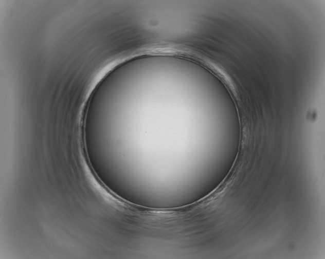 X0000089721483200706210842