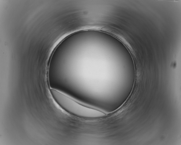 X0000089721484200706210842