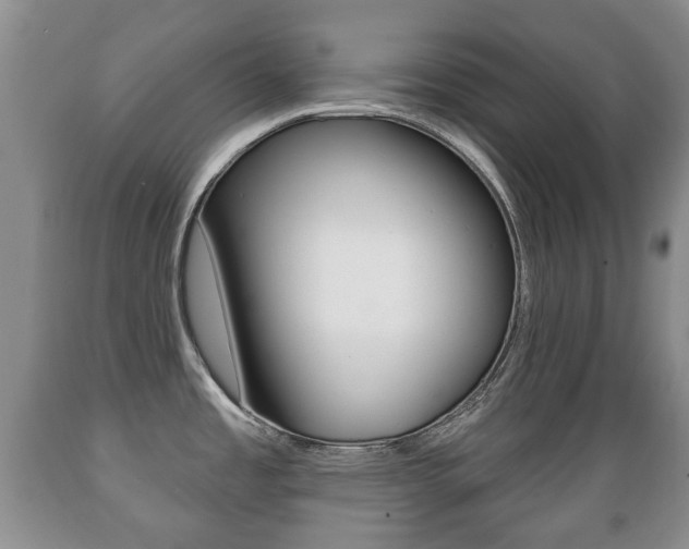 X0000089721485200706210842