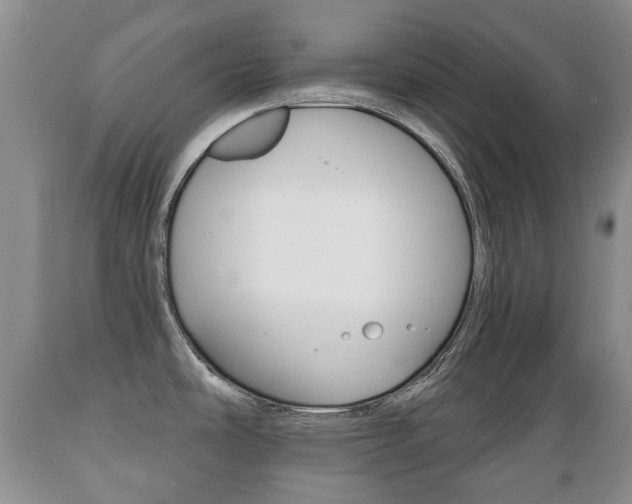 X0000089721486200706210842