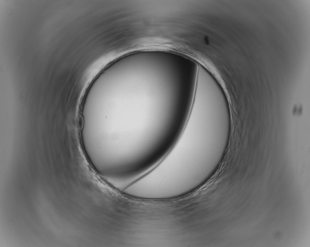 X0000089721488200706210842