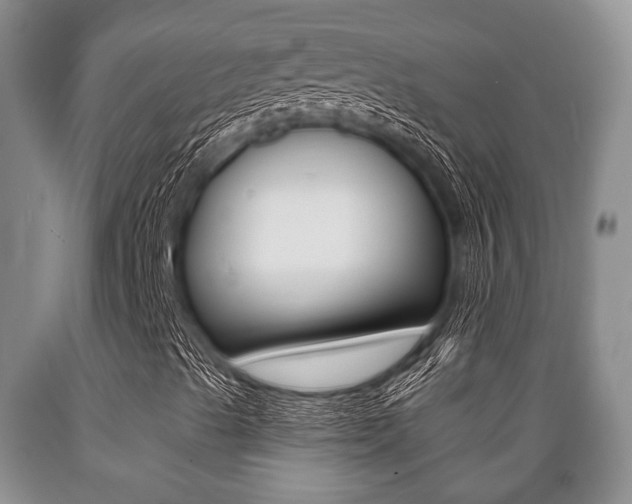 X0000089721489200706210841