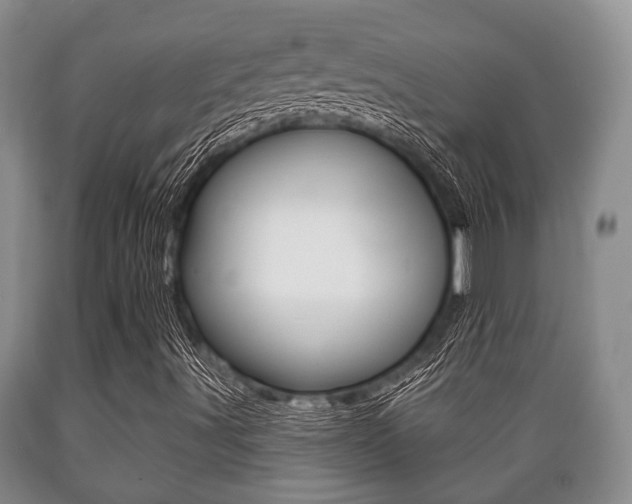 X0000089721491200706210841