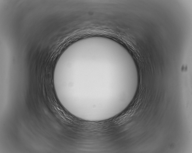 X0000089721492200706210841